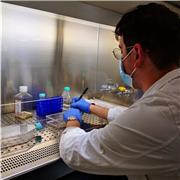 Offro ripetizioni e traduzioni di lingua russa-italiano e italiano-russo